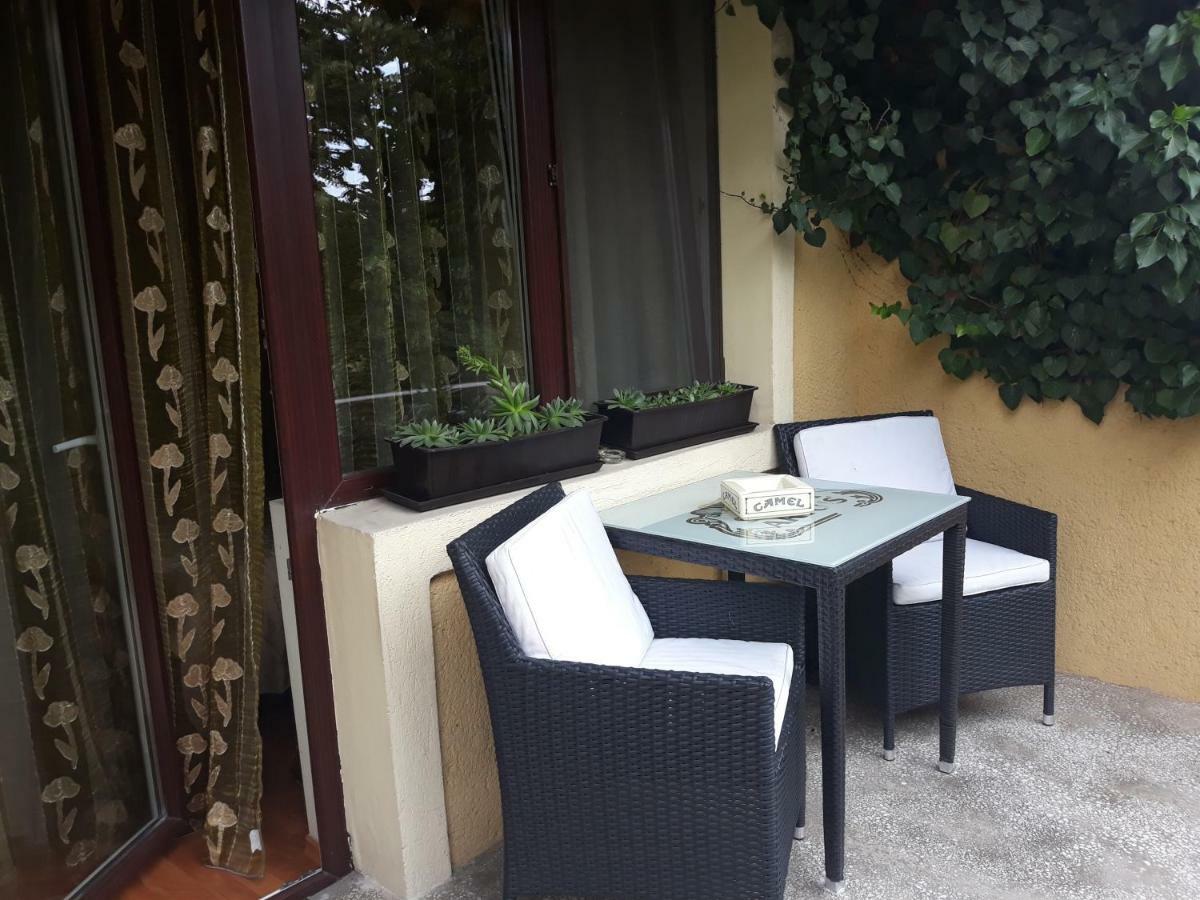 Pensiunea Sydney Timişoara Buitenkant foto